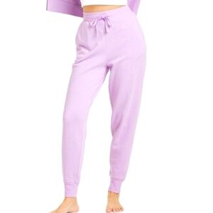 Nwt Colsie Lavender Jogger Sweatpants